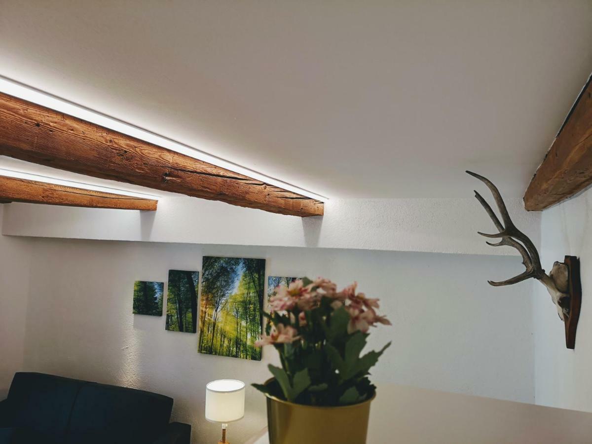 Deluxe Innsbruck Town Studio Zewnętrze zdjęcie